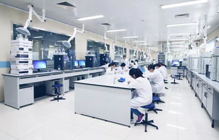 跨界引领 齐鲁制药李燕当选中国医药企业管理协会轮值会长，彰显行业管理智慧新融合